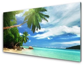 Fali üvegkép Palm Beach Sea Landscape 120x60cm 2 fogas