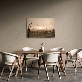Kép - Csupasz fák (üvegen) (70x50 cm)