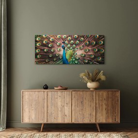 Kép - Páva (120x50 cm)