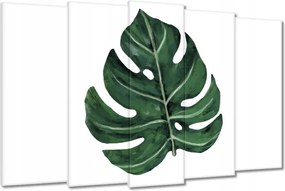 Vászonkép 150x95 Monstera Zöld levél