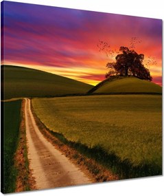 Vászonkép 50x50 Naplemente Hegyek Fa