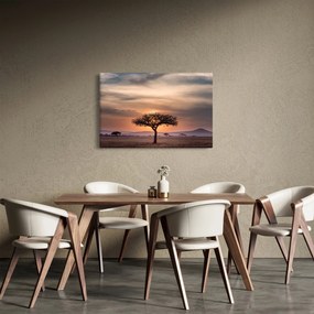 Naplemente képe Tanzániában (90x60 cm)
