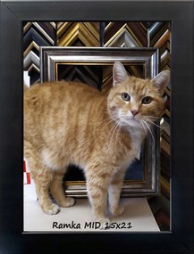 Klasszikus fali és fali képkeret 15x21 fa 2cm fekete