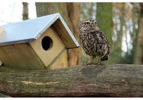 Fa bagolyodú – Esschert Design