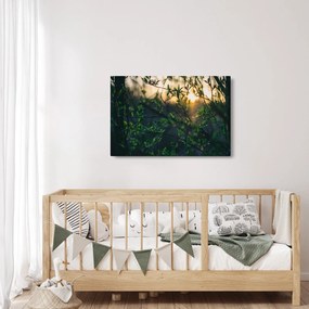 A ragyogó nap képe a fák gallyain keresztül (90x60 cm)