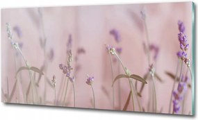 Fotótapéta üvegfalra Virágok és pillangók 100x70