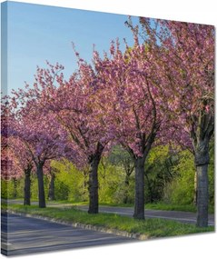 Vászonkép 30x30 Fa Kilátás