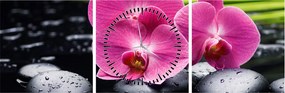 Kép - Rózsaszín orchidea pálmalevéllel (órával) (90x30 cm)