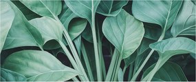 Flizelin tapéta Flizelin falikép Prémium zöld természet 250x104