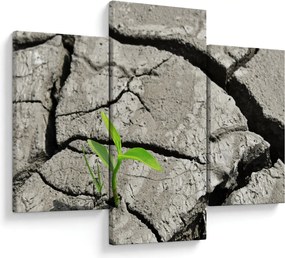 Kép - Repedések (90x60 cm)