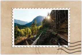 Poszterek 120x80 Hegyek Napfény Erdő Ösvény