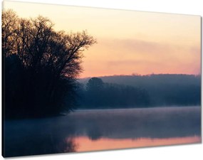 Vászonkép 100x70 Tél Köd Erdő Tó
