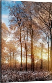 Vászonkép Fák Tél Felkelő Nap 50x80 cm