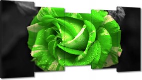 Vászonkép 150x80 Lime rózsa