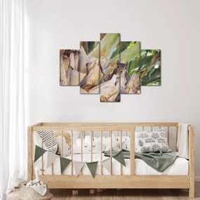 Mókus képe a fán (150x105 cm)