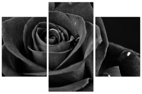 Kép - Bíborvörös rózsa (90x60 cm)