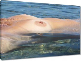 Vászonkép 60x40 Borotválkozás Akt Meztelenség Szex