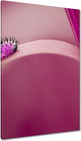 Vászonkép 80x120 Rózsaszín hernyó