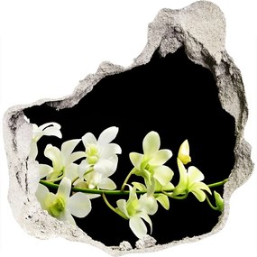3d-s lyukat fali matrica Orchidea nd-p-4005190