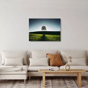 Természet kép - fa (üvegen) (70x50 cm)