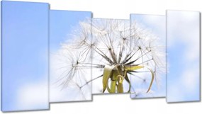 Vászonkép 150x80 Pitypang Virág Virágok