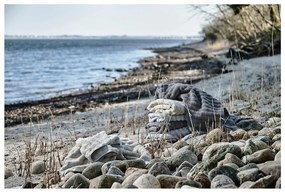Barna pamut fürdőlepedő 70x140 cm Inu – Zone