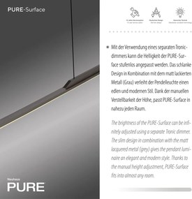 Paul Neuhaus modern függeszték pure surface szürke pln2301-15