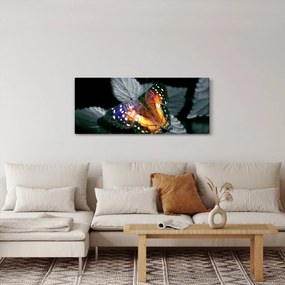 Pillangó képe (120x50 cm)