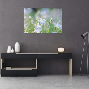 Kép - Finom virágok (90x60 cm)