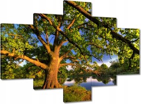 Vászonkép 100x70 Tölgy a croissant-ban Nyugat