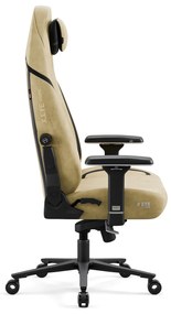 Játék szék Diablo X.Eye Prime Broken Gold Normal Size