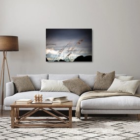 Kép - Rét virágai a tónál (üvegen) (70x50 cm)