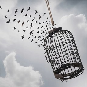 Fotótapéta Flizelin Dekoratív tapéta Repülő madarak 250x250 Ragasztó