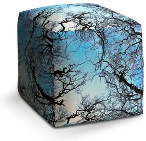Cube zsámoly csupasz ágak, kék