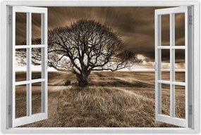 Poszterek 90x60 Tájkép varázslattal