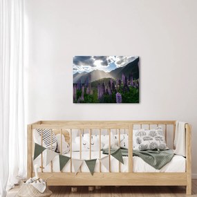 Kép - Csillagfürt táj (70x50 cm)
