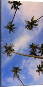 Vászonkép Natura Kókuszpálmák 60x120 cm