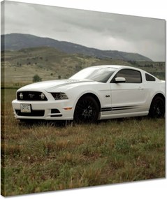 Vászonkép 40x40 Fehér Ford Mustang