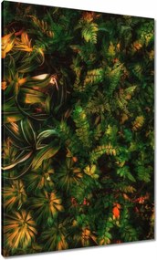 Vászonkép 70x100 Trópusi levelek Levelek