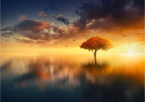 Fotótapéta Fa Naplemente Tükröződés Ősz Színek 200x140 +ragasztó