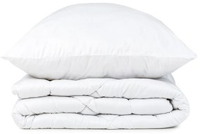 4Home Aloe Vera paplan párna szett, 140 x 220 cm, 70 x 90 cm, 140 x 220 cm, 70 x 90 cm