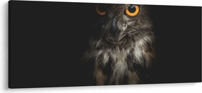 Bagoly képe (120x50 cm)