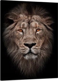 Vászonkép Oroszlán arca Vörös szemek Vadság 50x70 cm