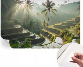 Öntapadós Stílusos Dekoratív Fotótapéta Paradicsom teraszok 416x254 cm