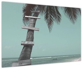Kép - Palma a Karib-tengeren (90x60 cm)