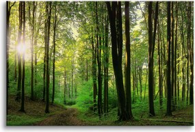 Modern Falikép Erdei táj Zöld erdő Tájkép vászonkép