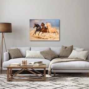 Kép - Vad lovak (70x50 cm)
