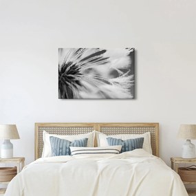 Kép - Makró, fekete-fehér (90x60 cm)