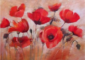 Üveg kép - Farkas mák (70x50 cm)