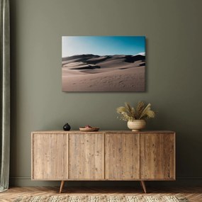 Kép - A sivatagból (90x60 cm)